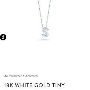 18K White Gold Tiny S Necklace